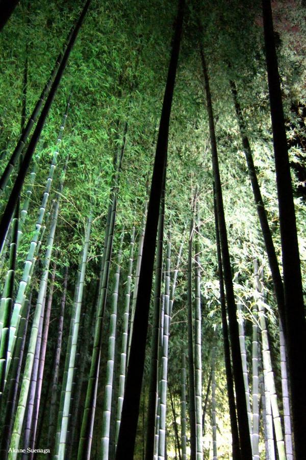 Kyoto Home Higashikujo Eksteriør bilde