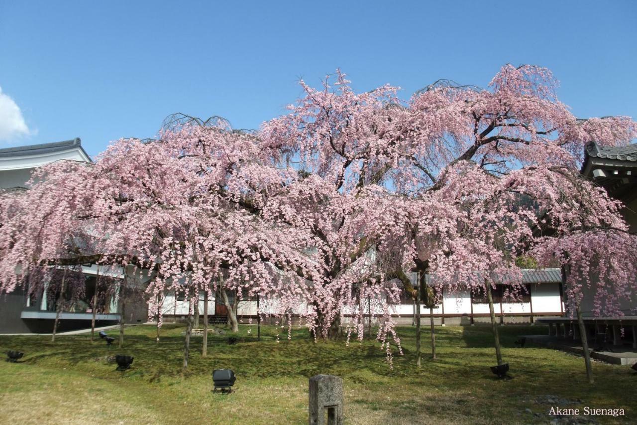 Kyoto Home Higashikujo Eksteriør bilde